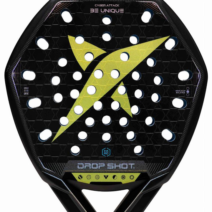Pala Drop Shot Cyber Attack 2026